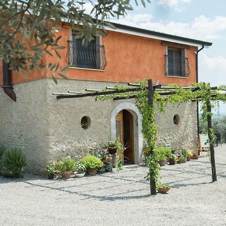 B&B Rifugio Tra Gli Ulivi Campagna Luaran gambar
