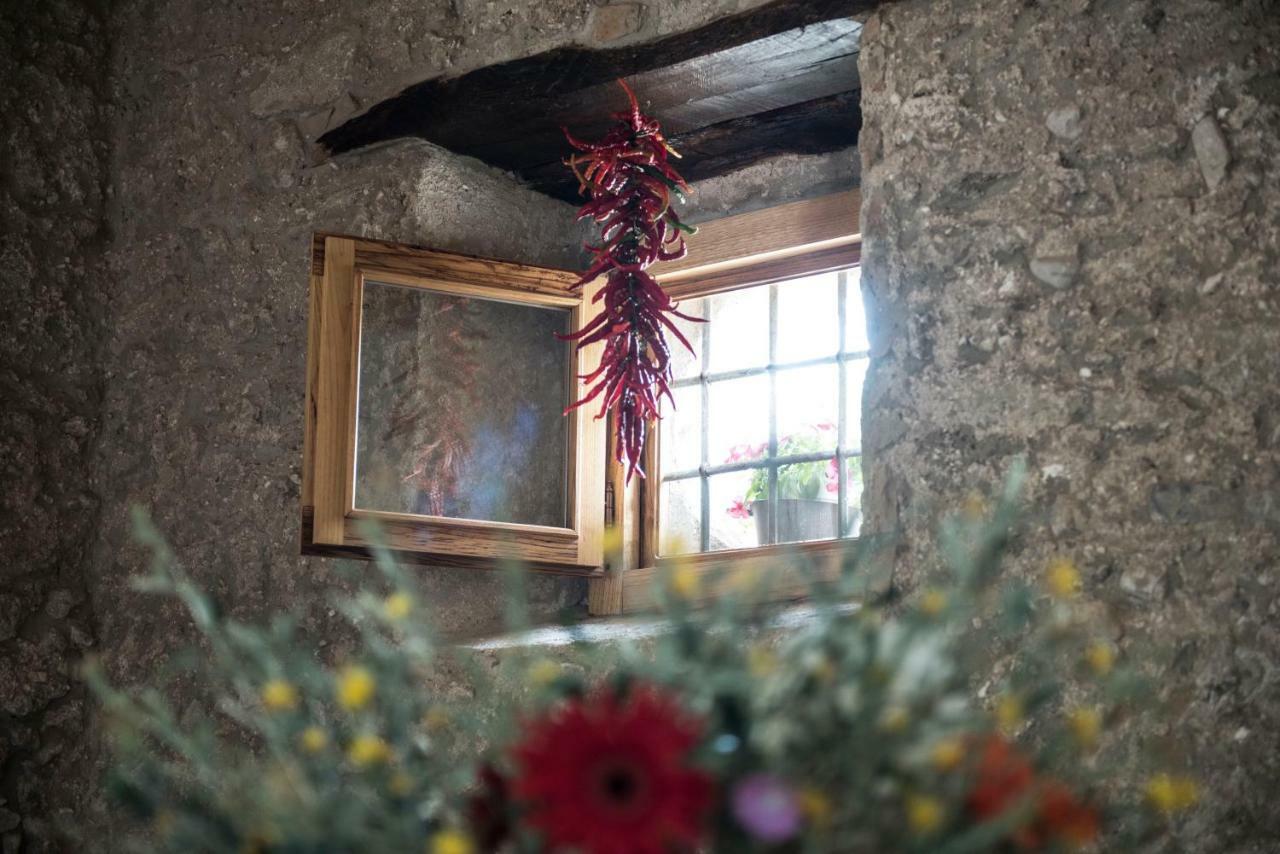 B&B Rifugio Tra Gli Ulivi Campagna Luaran gambar