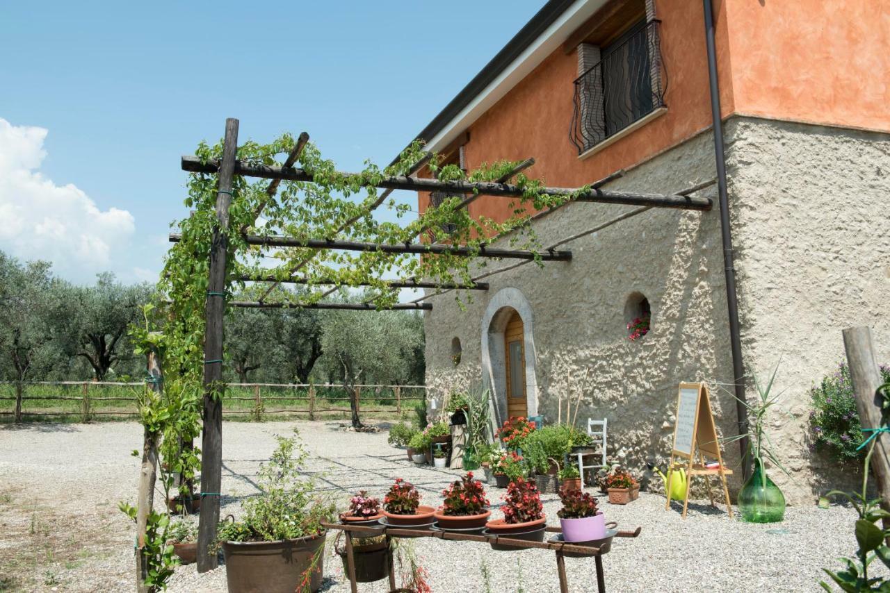 B&B Rifugio Tra Gli Ulivi Campagna Luaran gambar
