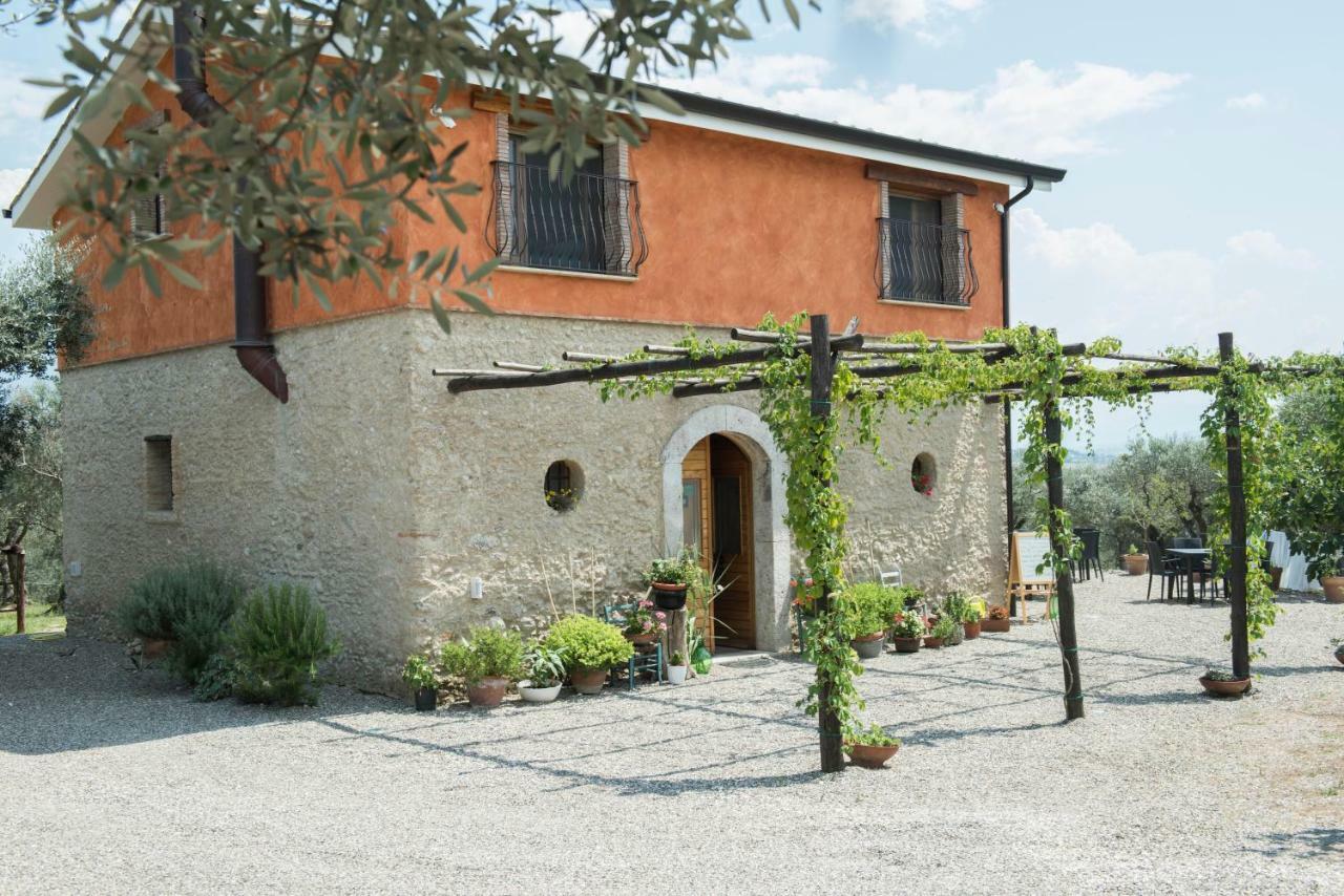 B&B Rifugio Tra Gli Ulivi Campagna Luaran gambar